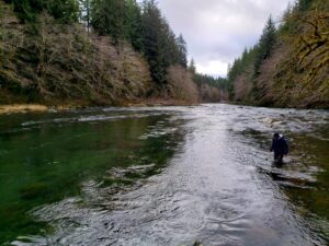 Read more about the article 2018 Steelhead fishing report and ramblings..