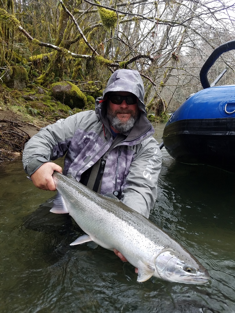 Washington State Fish: An Introduction to Steelhead Trout