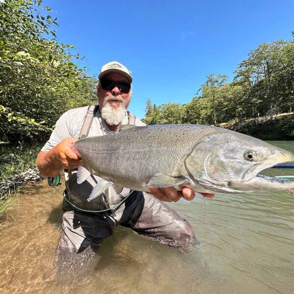 Chinook Salmon Fly Caught