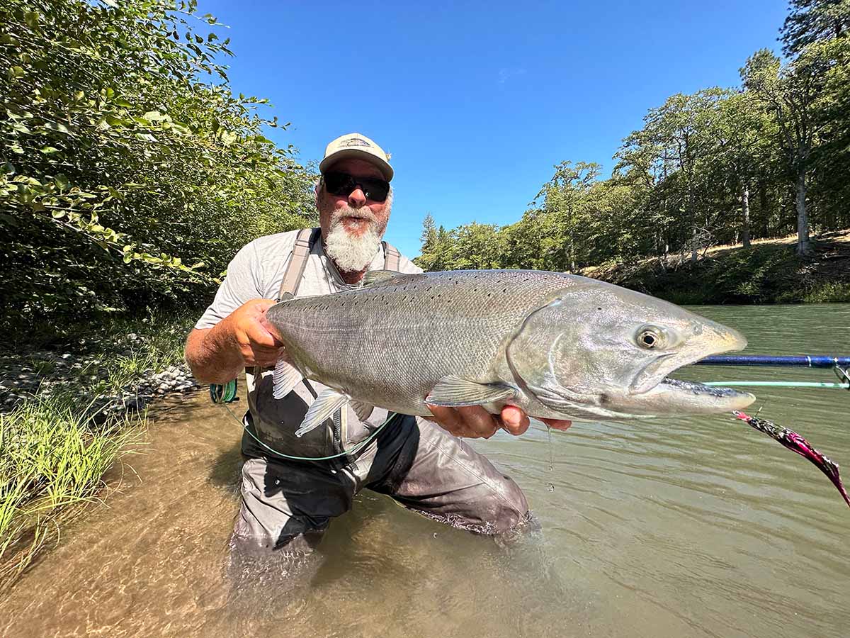 Chinook Salmon Fly Caught
